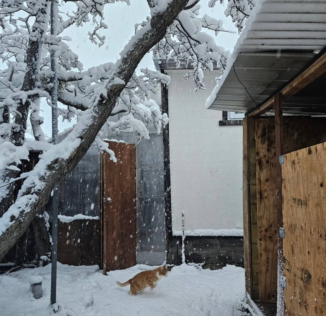 comodidad de la cabaña